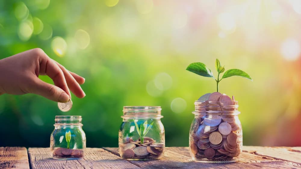 Seedling growing beside jars of coins