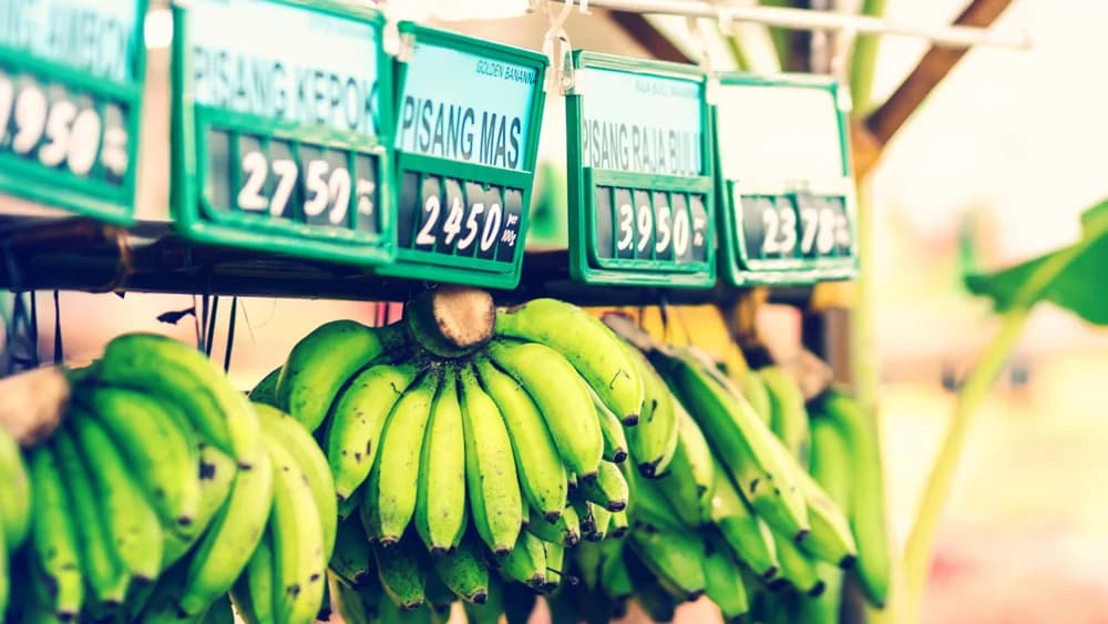 Price labels on produce at a market