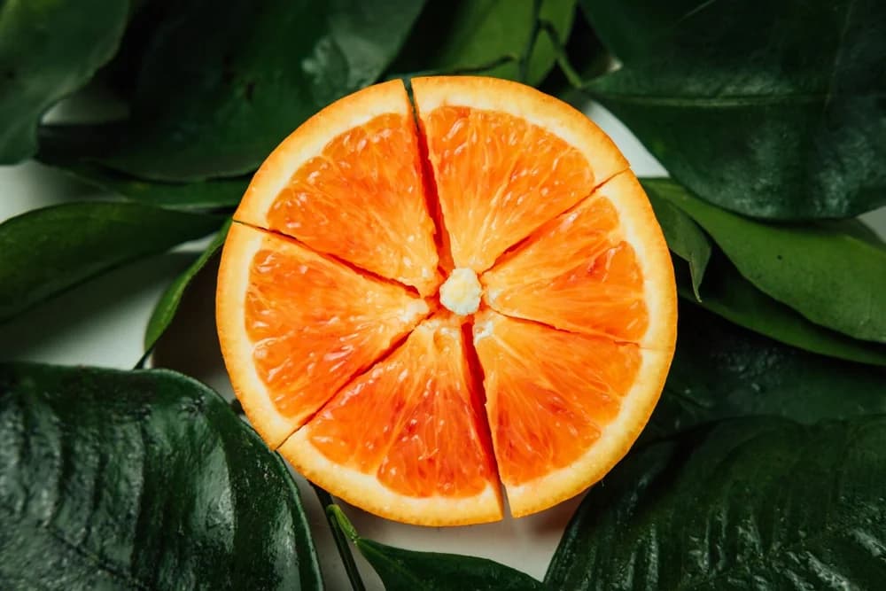 Orange sliced into portions, illustrating ownership shares
